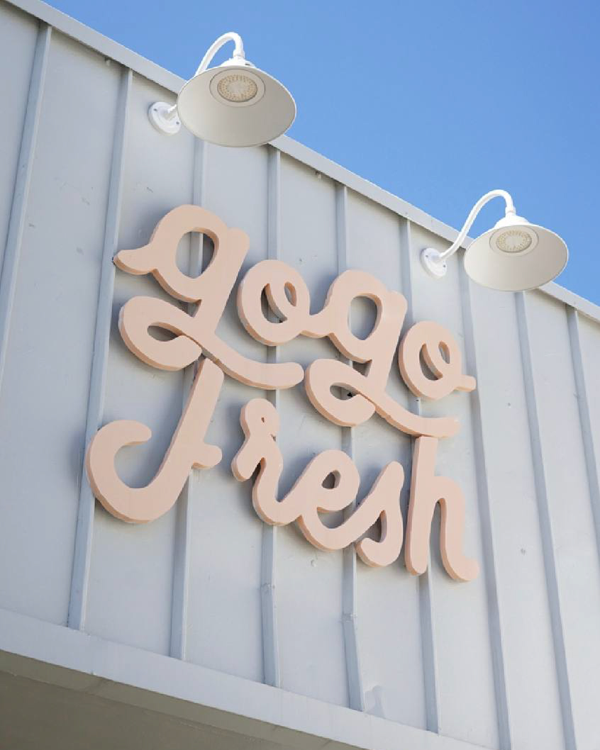 GOGO-FRESH (1)